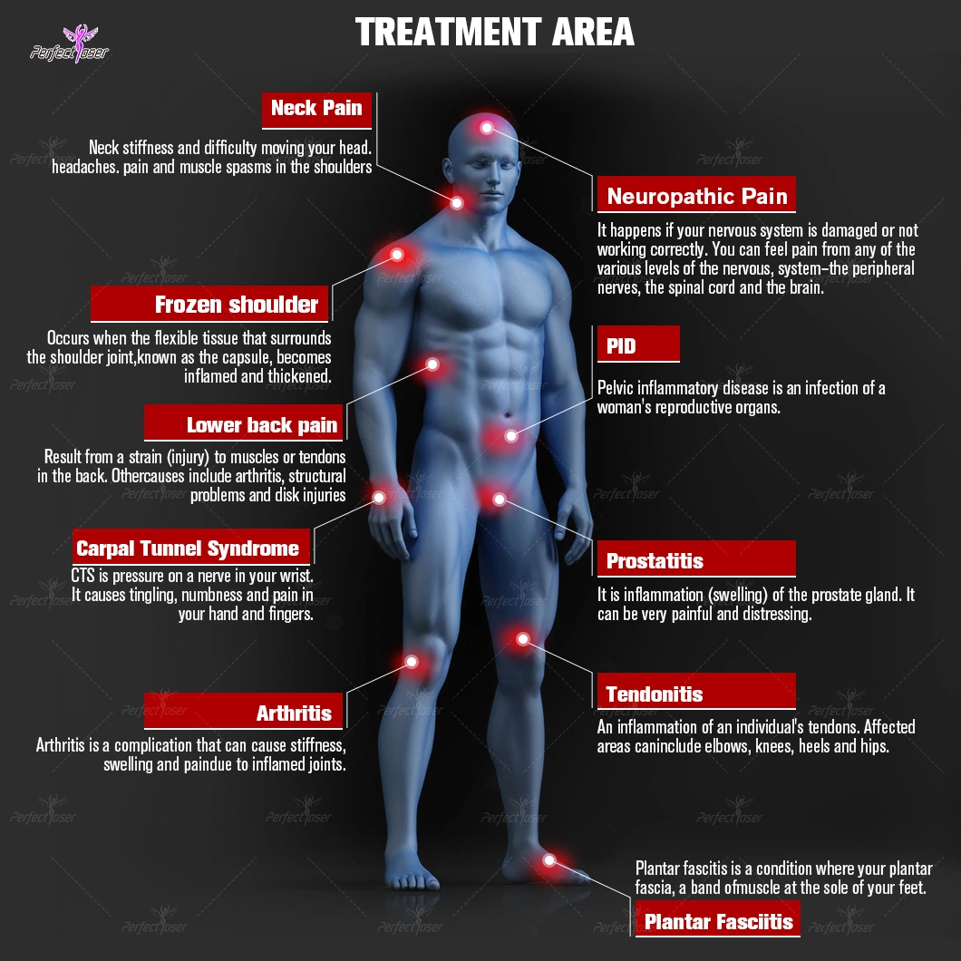 Improve Metabolisum System Abdominal Pain Physio Cold Light Laser Equipment