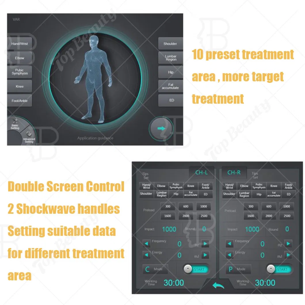 Professional Double Handles Electromagnetic ED Pulsed Radial Shockwave Therapy Machine for Physical Therapy