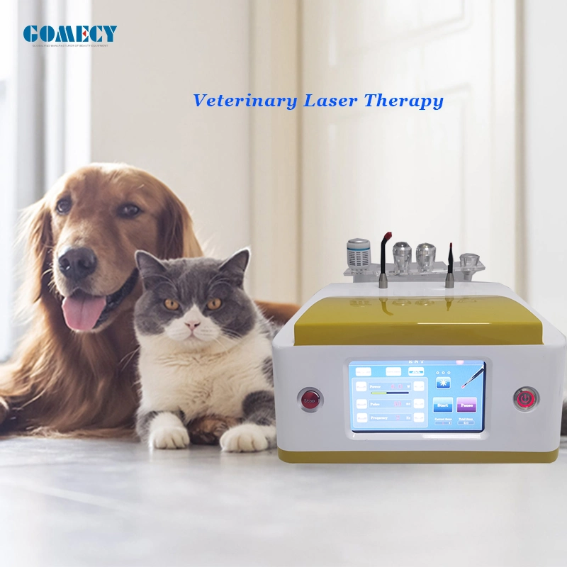 Veterinary Animal Vet Pain Relief Cold Low-Level Laser 980nm Pets Laser Therapy