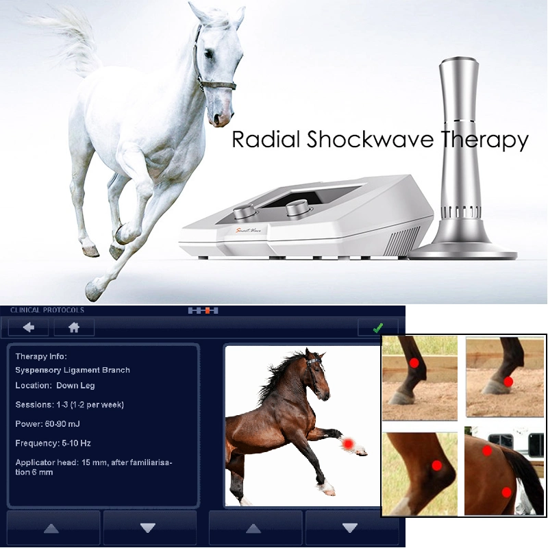 Veterinary Low Shock Wave Focus Shockwave Therapy Machine for Animals