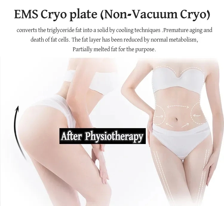 Cryopads &amp; Thermal Shock System, Cryotherapy Slimming and Shockwave Machine