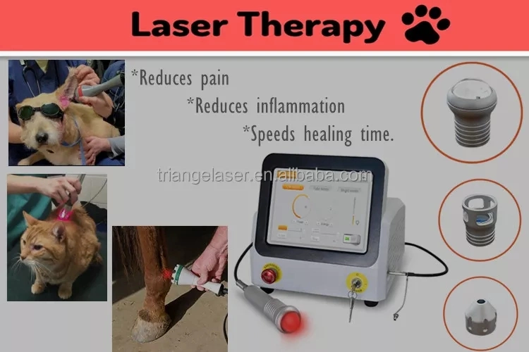 Professional Veterinary Use Cold Laser Diode Laser 980nm Vet and Larger Animals Therapeutic Lase Rlow Level Laser Therapy Device