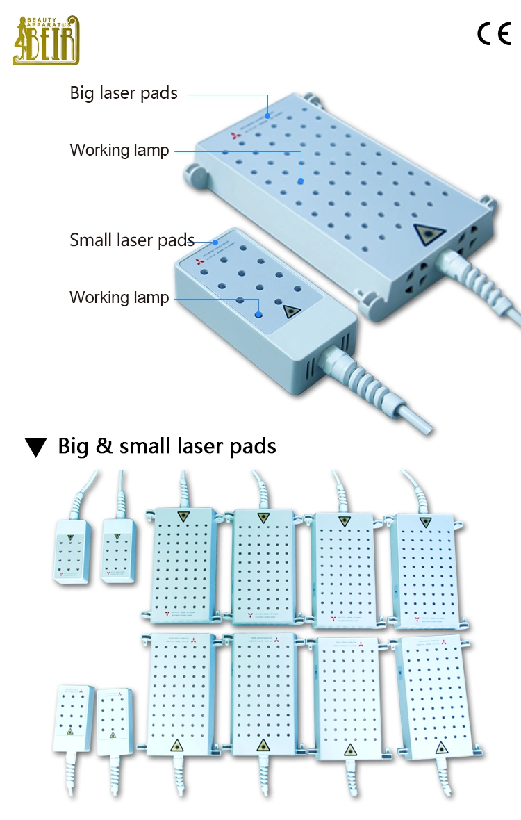 Factory Price with Ce Lipo Laser 4D Lipo Laser Machine OEM Service