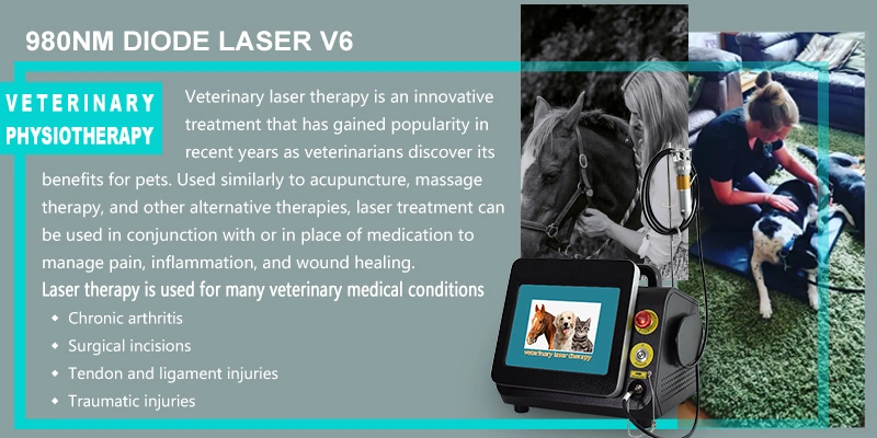 Cold Laser 980nm Pain Management Surgical Veterinary Laser Therapy Physiotherapy Equipment