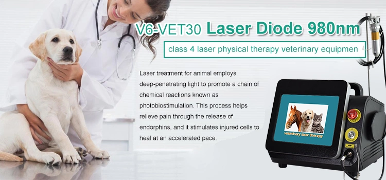 Laseev Yaser Pain Relief Laser 980nm Class IV Pain Treatment Physical Laser Therapy Machine Equine Laser Veterinary Surgery Diode Laser