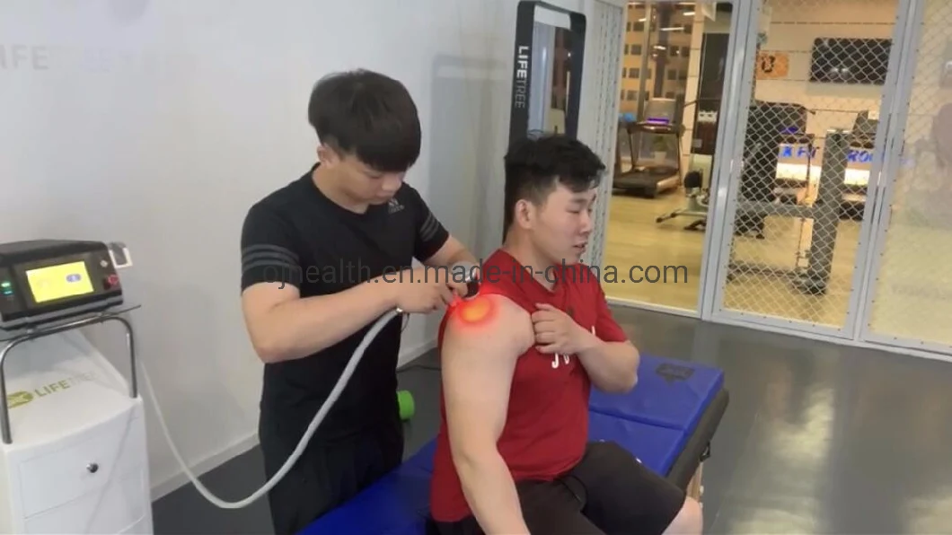 EU &amp; USA Clinic Use Class IV 980nm Medical Laser Equipment Effective Pain Relief for Muscle, Bone, Joint Regeneration Physiotherapy Rehabilitation