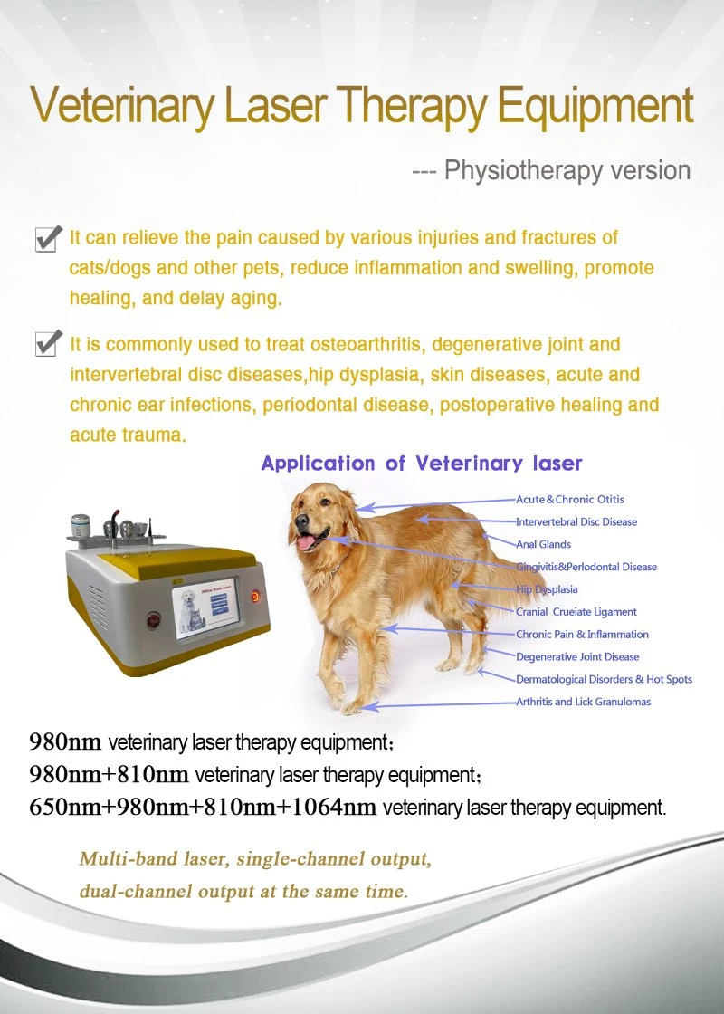 Veterinary Animal Vet Pain Relief Cold Low-Level Laser 980nm Pets Laser Therapy