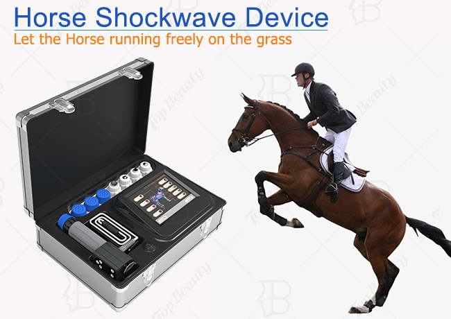 Portable Veterinary Vet Shockwave Pain Relief Shock Wave Therapy Equipment