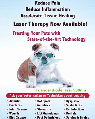 Laseev Yaser Diode Laser 1064nm 980nm 810nm Treatment Veterinary Therapy Laser Equipments for Vet Pets