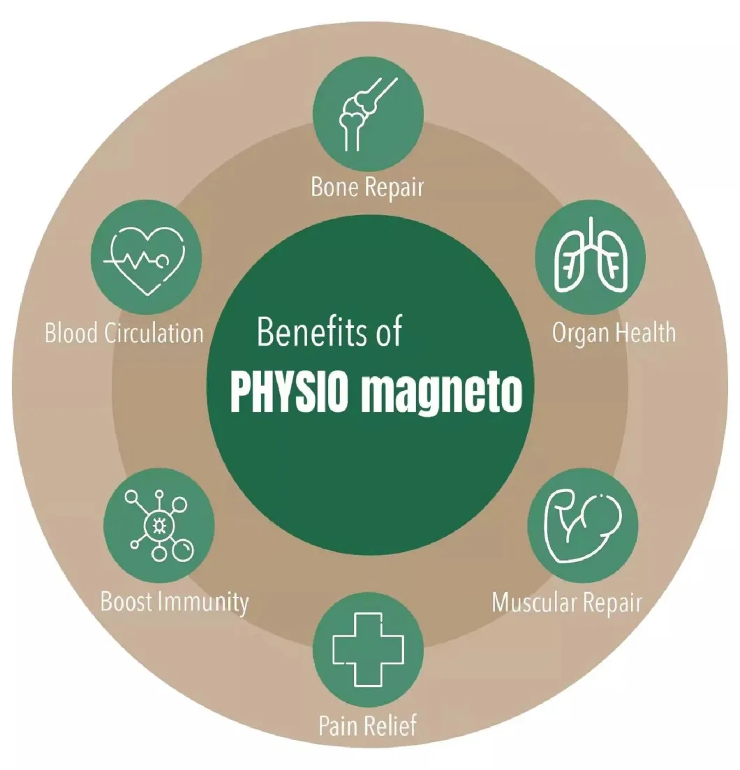 Portable Therapy Physiotherapy Physio Magneto Magnetfeld Therapy Magnetic Machine