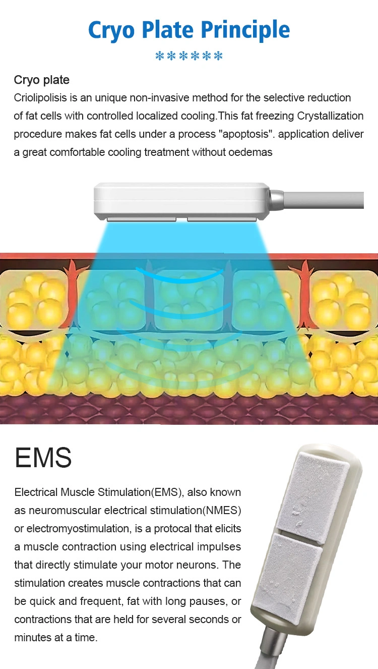 Full Body Fractional RF Laser 532nm Green Red Light Cold Lipo Pads Body Contourting Laser Beauty Slimming Machine