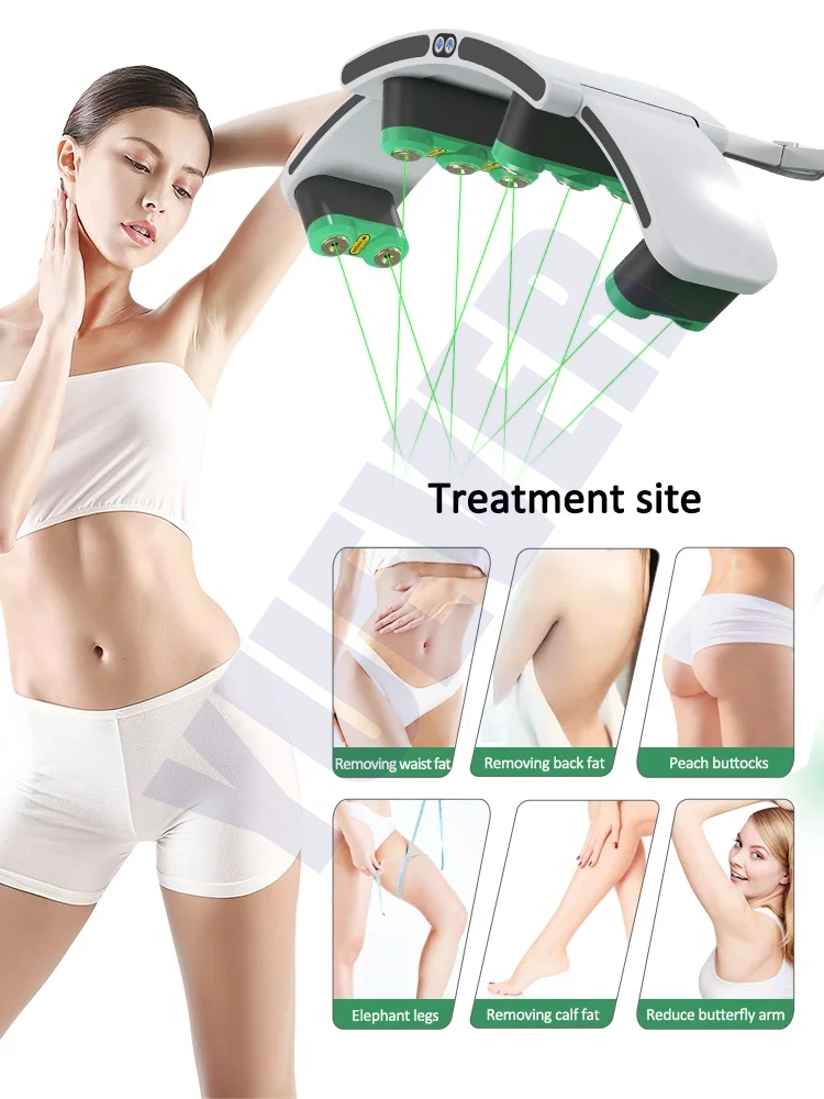 10d Cellulite Reduction 532nm Green Light Therapy Cold Laser Fast Slim Machine for Beauty Salon