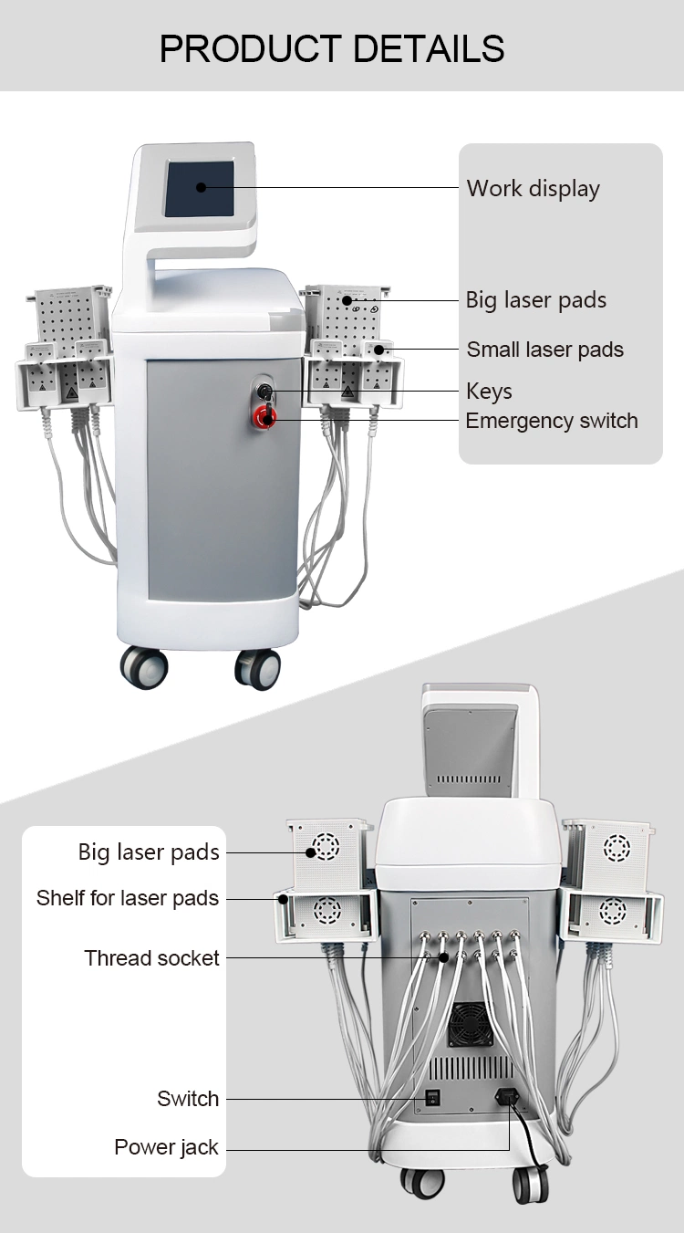 Good Effect Diode Laser Lipo Laser Lipolysis Beauty Machine 12 Paddles Laser Machine