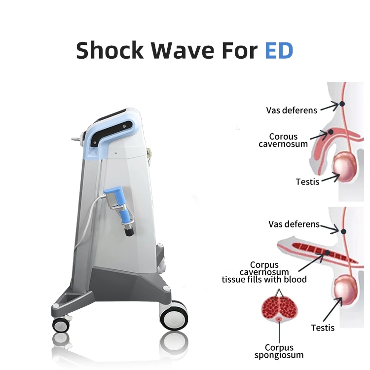 Physiotherapy Equipment Eswt Extracorporeal High Intensity Focused Pneumatic Shockwave Therapy Machine