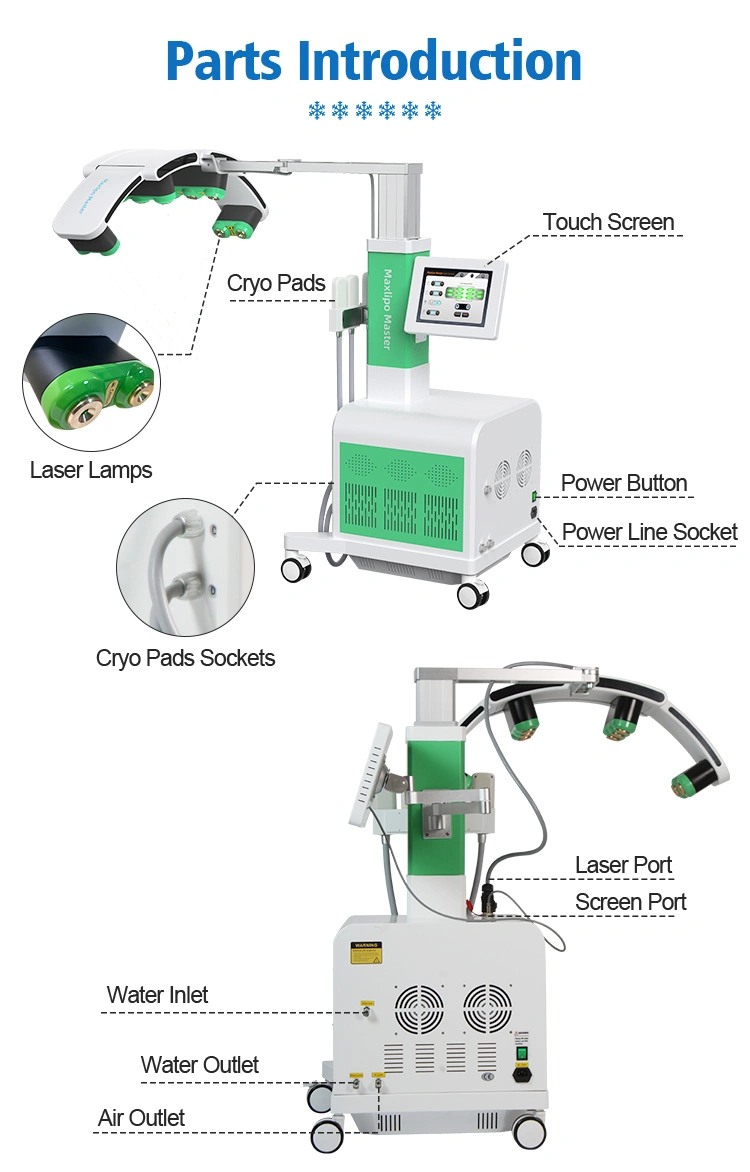 Full Body Fractional RF Laser 532nm Green Red Light Cold Lipo Pads Body Contourting Laser Beauty Slimming Machine