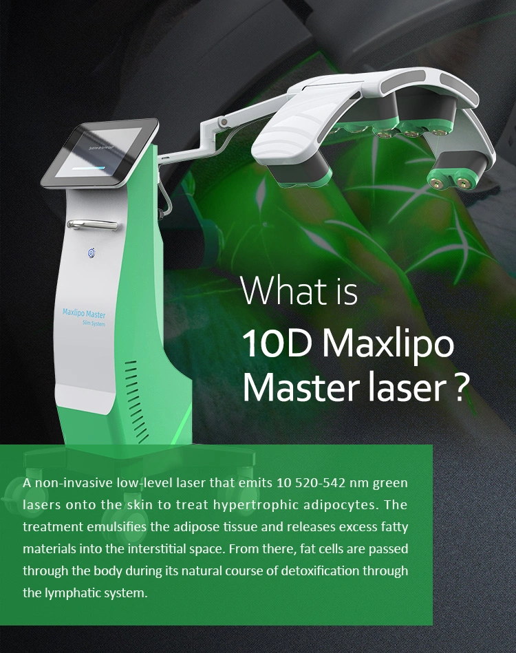 Body Beauty Equipment 10d Maxlipo Master Laser Cold Lipo Laser with 10 Light Panels