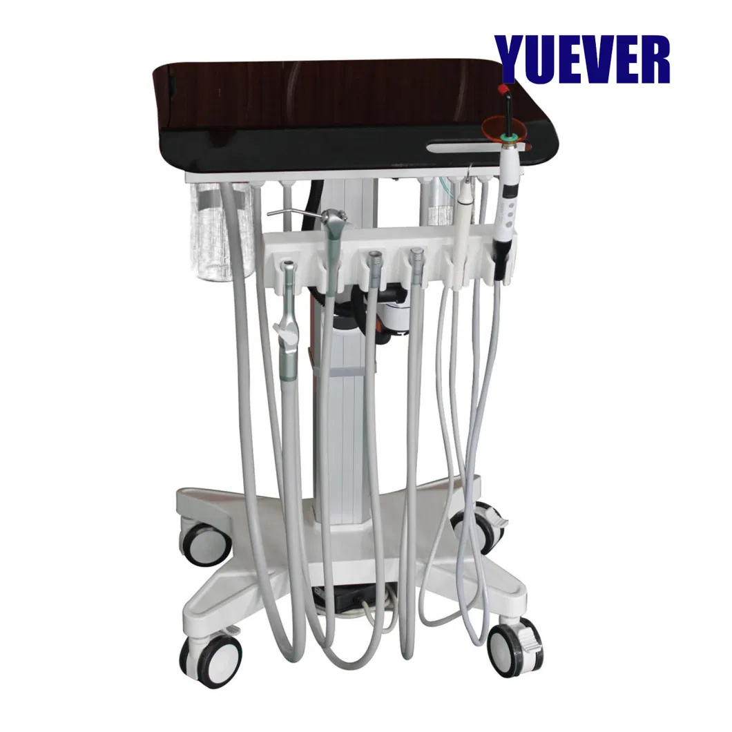 Veterinary Equipment Cheap Pet Dental Chair Unit with Air Compressor