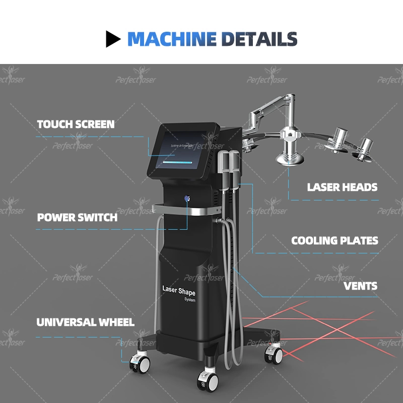 Professional Cryolipolysis Laser Slim Weight Loss Cold Light Laser