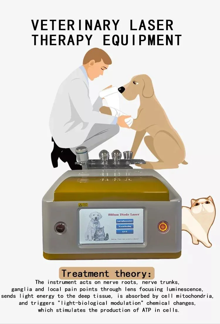 980nm Pet Laser Equipment Pain Relief Arthritis Treatment Physicaltheapy Veterinary Hospital Machine