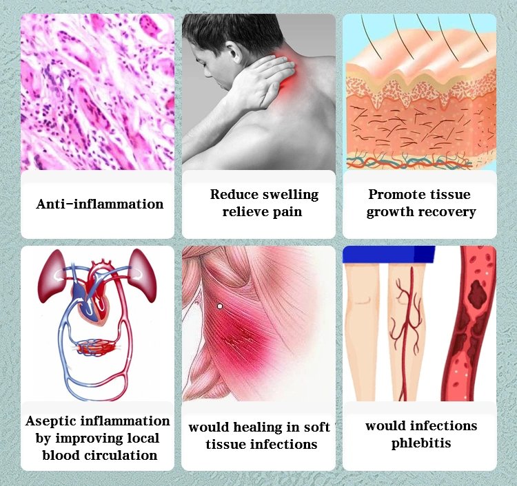 Diabetes Treatment Electromagnetic Pulse Physiotherapy Device