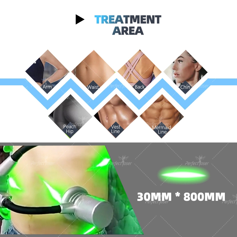 CE/FDA/RoHS Cryolipolysis Cold Laser Fat Removal Lipolaser Beauty Equipment