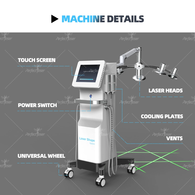 CE/FDA/RoHS Cryolipolysis Cold Laser Fat Removal Lipolaser Beauty Equipment