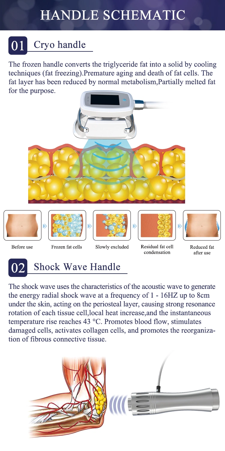 7 in 1 Shockwave Acoustic Wave Cryopad Equipment Cryolipolysis Cool Tech Fat Freezing Machine Cool Cryolipolysis Machine for Body Shape