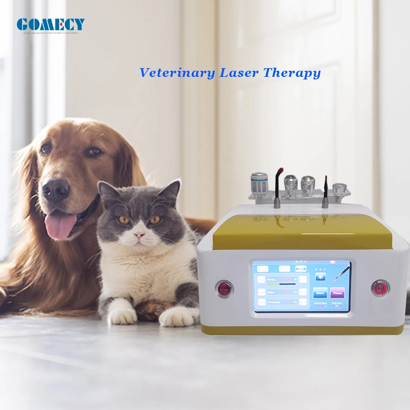 Portable Touch Screen Animals Laser Therapy Device Pain Relief Wound Healing Medical Therapy