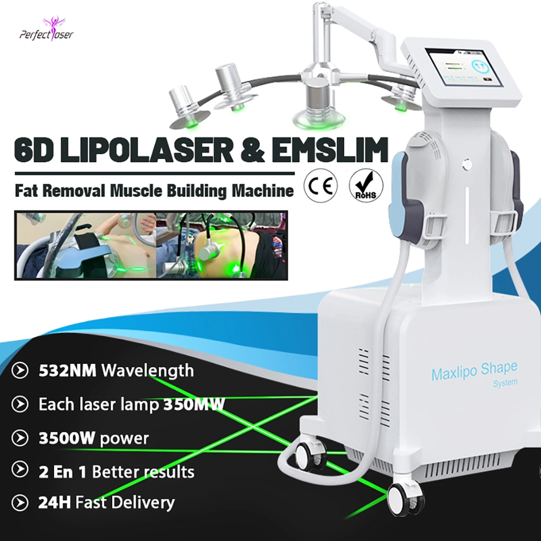 CE/FDA/RoHS Cryolipolysis Cold Laser Fat Removal Lipolaser Beauty Equipment