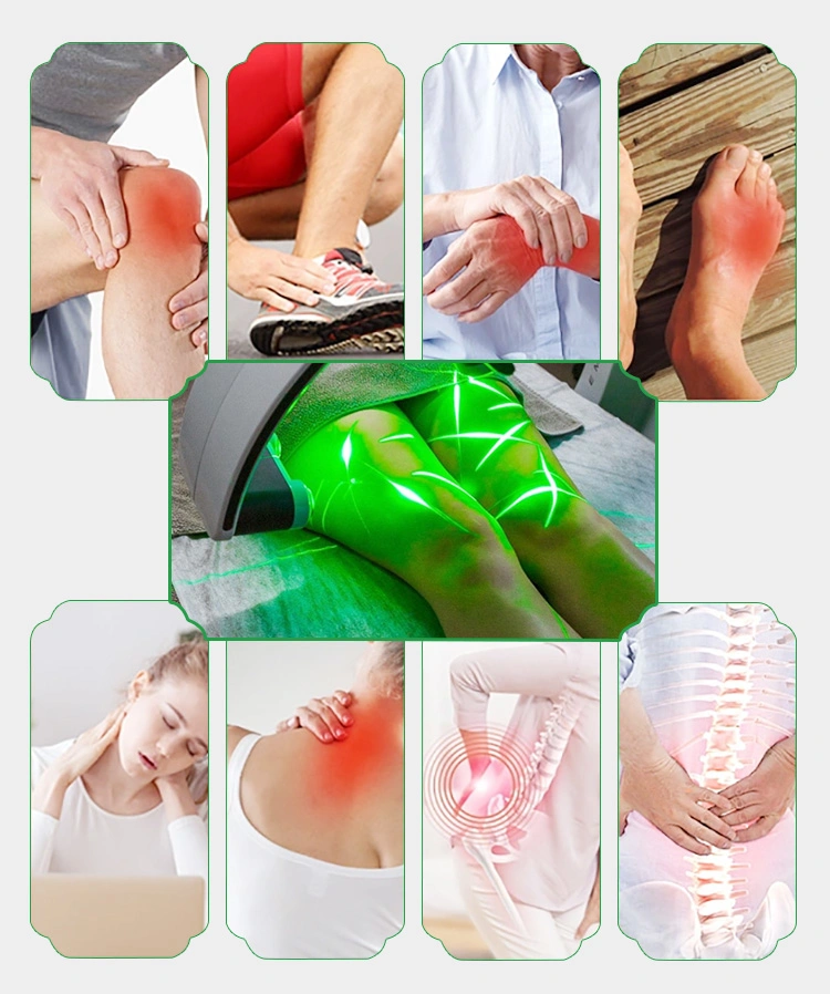 Cold Laser Therapy for Knee Pain 10d Cold Diode Physio 635 532nm Wavelength Laser Liposuction Laser Machine