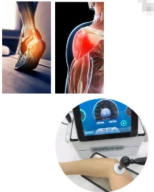 Smart Tecar Physiotherapy Device Professionnel 3 in 1 Machine for Physical Therapy/Cellulite/Erectile Dysfunction/Build Muscle/Post-Exercise