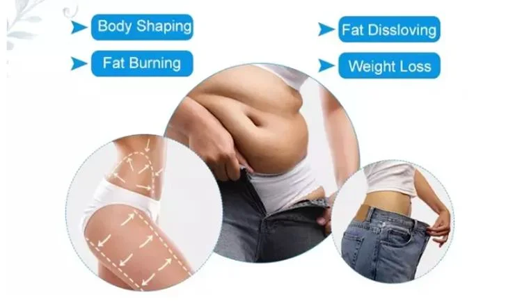 Gomecy 5D Cold Laser Machine 650nm +780nm&808nm+940nm&980nm Lipo Dissolving Fat Loss Cold Laser Slimming Machine 532nm 635nm Wavelength Lights