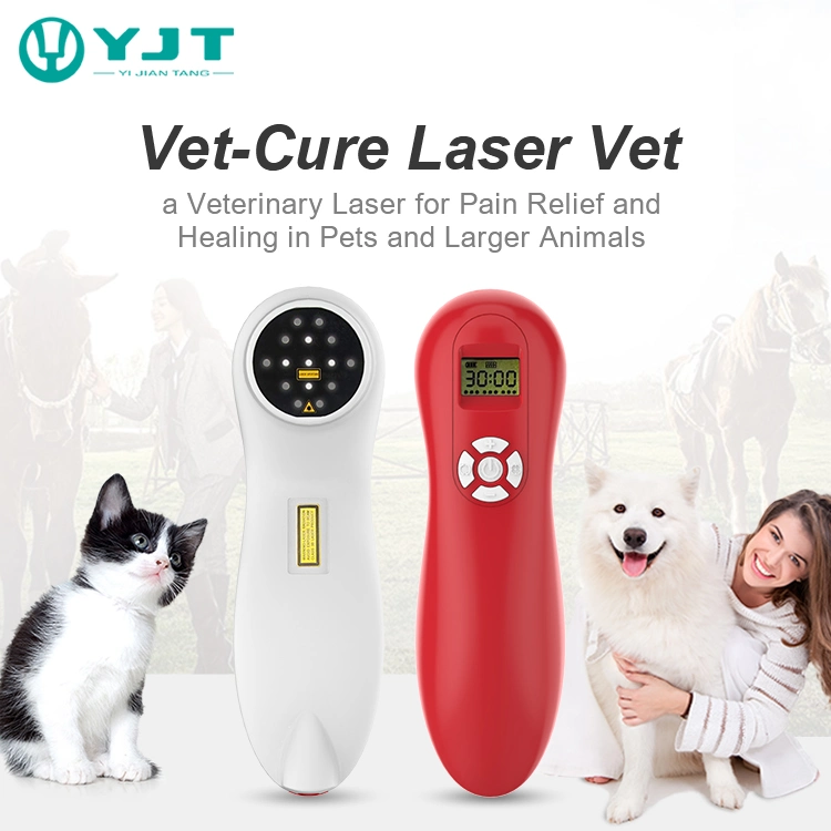 Yjt Manufacturer Wholesale Laser Therapy Handheld Laser 808 Nm for Pets and Animal Pain Relief
