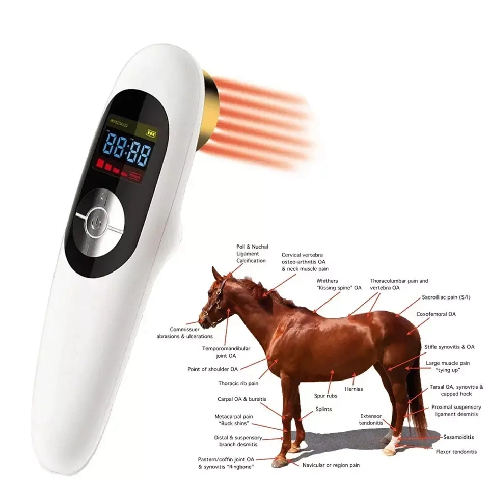 Veterinary Equipment 808nm Cold Laser Therapy Animals Wound Healing Physiotherapy