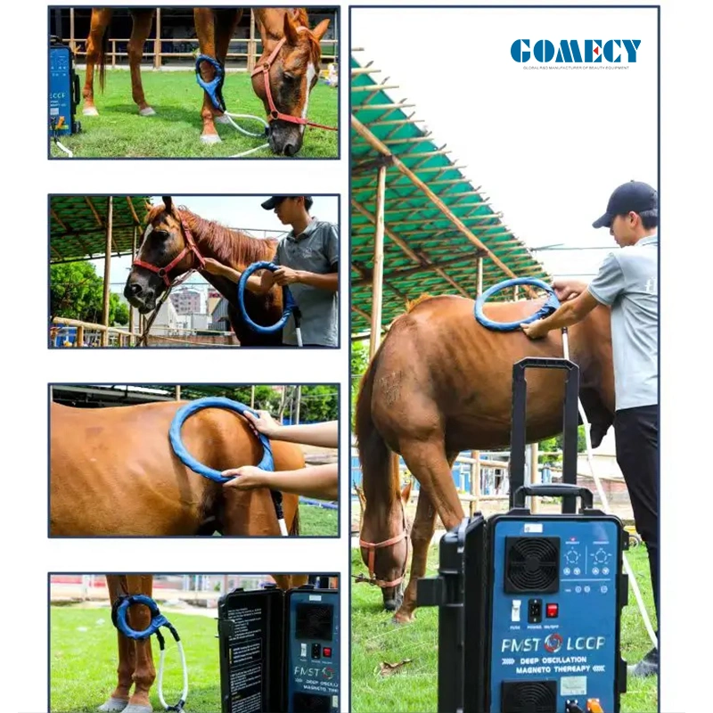 Pemf Magnetic Therapy Device Pemf Loop Magneto for Horses China Pemftherapy Device
