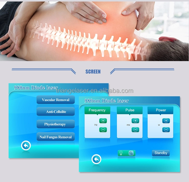 Laser Physiotherapy Class 4 Diode Laser Pain Relief Therapeutic Treatment