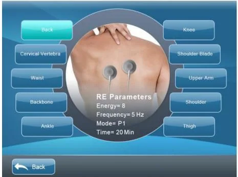 Portable Electric Physiotherapy Eswt EMS Shockwave Therapy Machine for Pain Relief