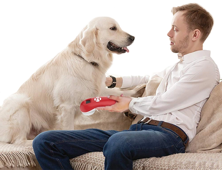 Yjt Manufacturer Wholesale Laser Therapy Handheld Laser 808 Nm for Pets and Animal Pain Relief