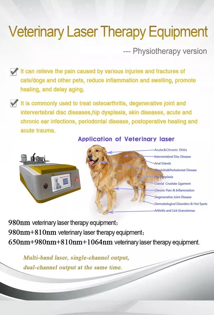 980nm Pet Laser Equipment Pain Relief Arthritis Treatment Physicaltheapy Veterinary Hospital Machine