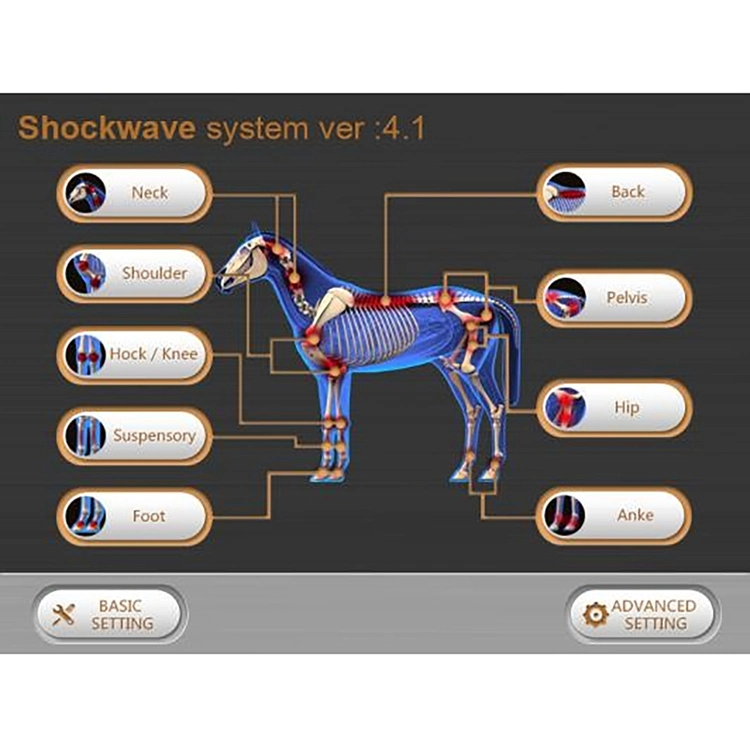 Portable Electromagnetic Equine Shockwave Therapy Machine Shock Wave for Horse