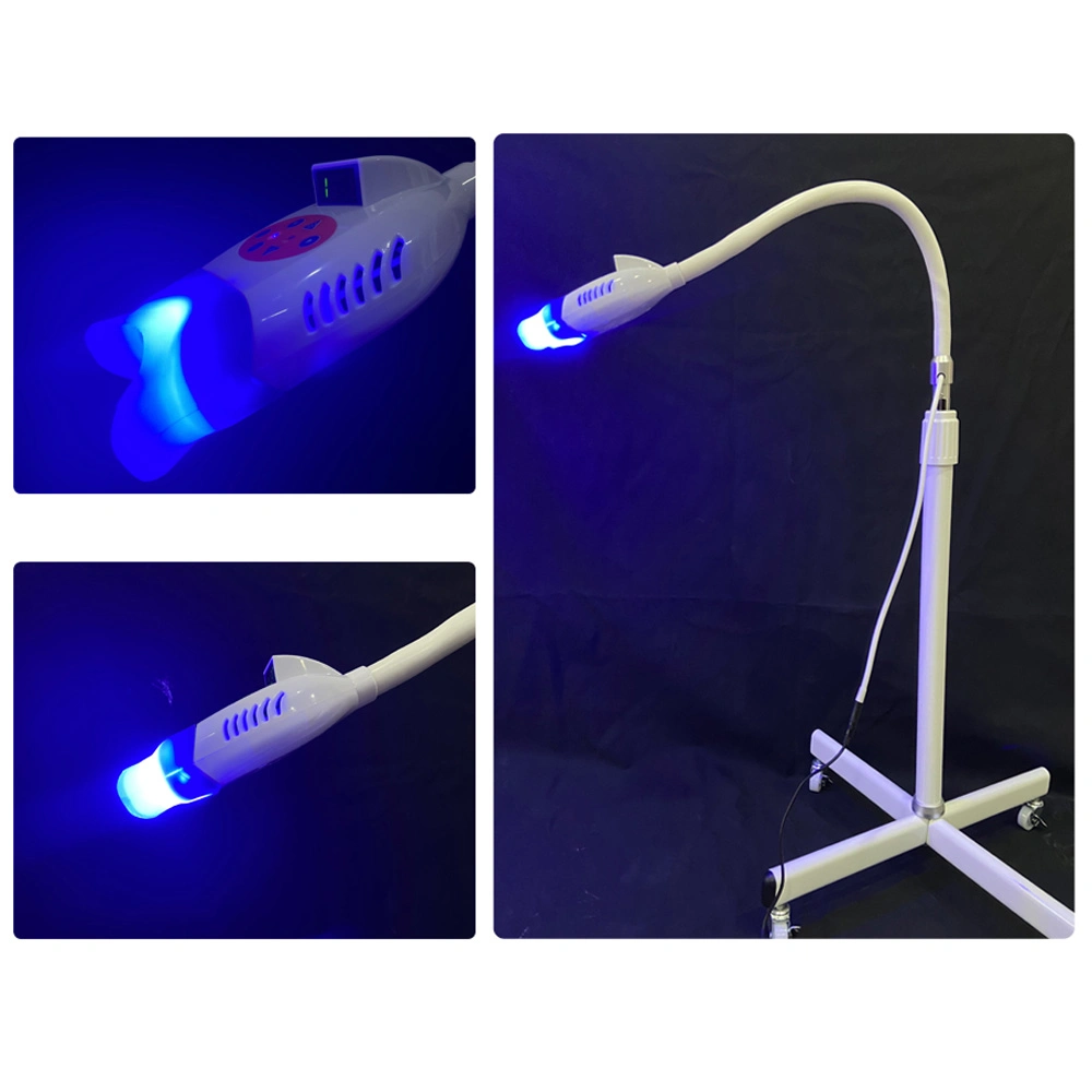 Dental Equipment Dental Clinic Salon Use Blue Cold Light Laser Teeth Whitening Machine/Dental Bleaching