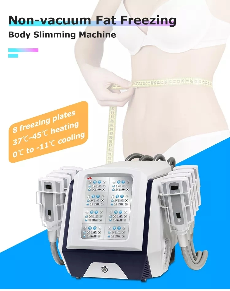 Anti Free Cellulite Weight Loss Machine Dissolve Fat Cold Therapy Body Shaping