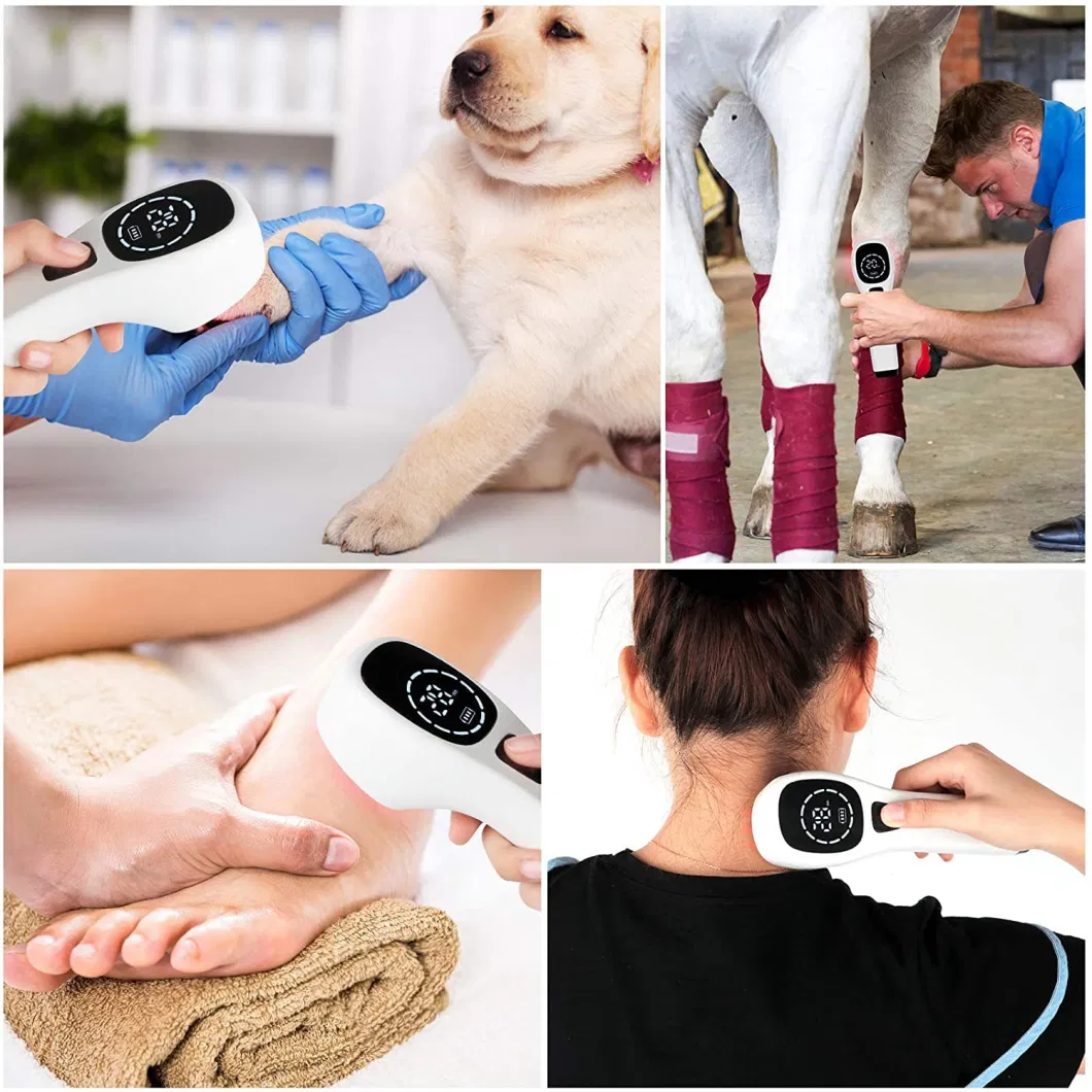 Medical Handheld Pain Relief Low Level Laser Cold Laser Therapy Device 808nm 650nm Physical Therapy (PW-4X)