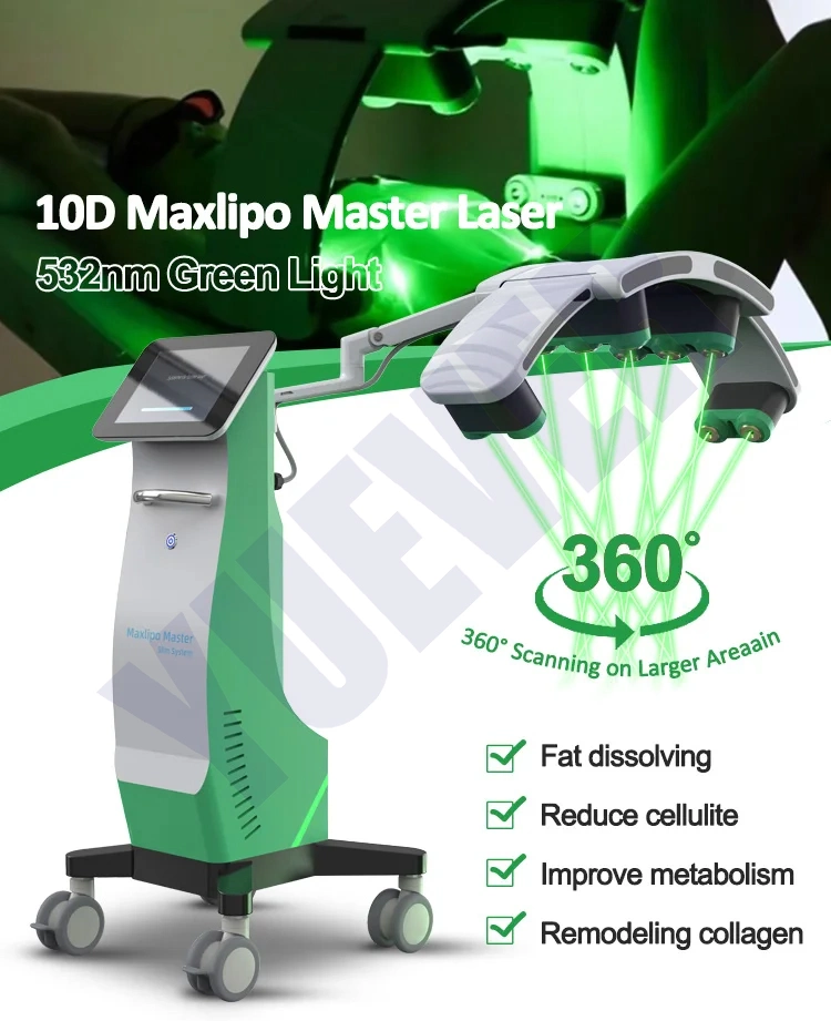 10d Cellulite Reduction 532nm Green Light Therapy Cold Laser Fast Slim Machine for Beauty Salon