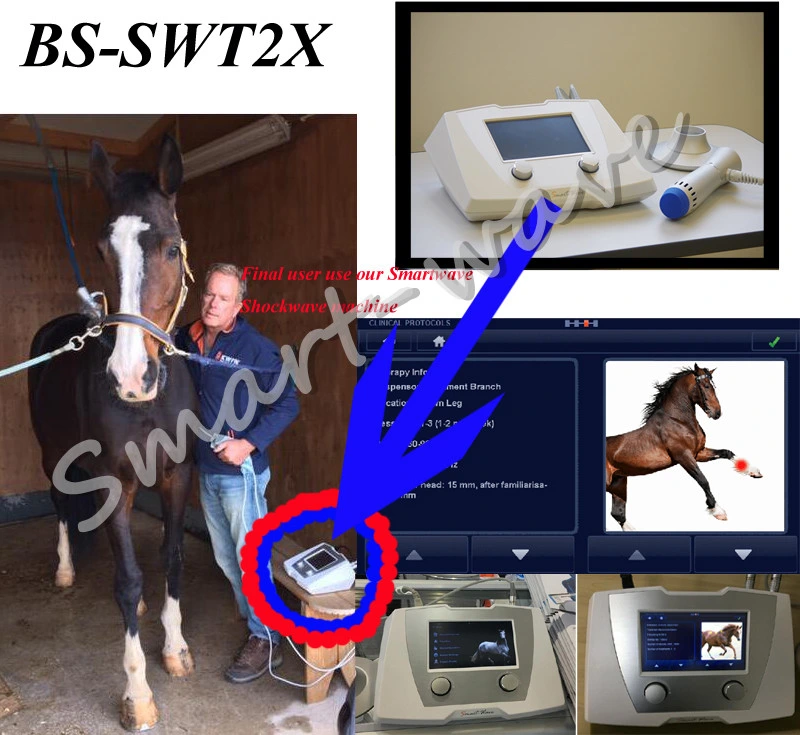 Equine Extracorporeal Shock Wave Therapy Eswt Machine for Horses and Small Animals