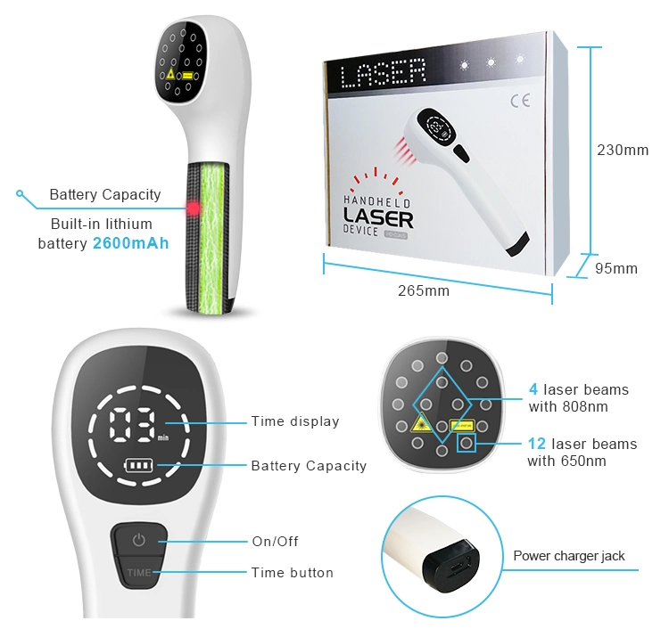 Home Use Cold Laser 808nm Portable Laser Therapy Device Pain Therapy Laser for Horses Dogs Human