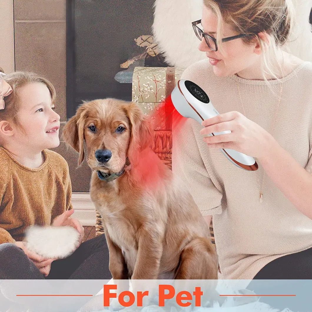 Lllt Pain Therapy Medical Laser Handheld for Human and Pets Fast Recovery