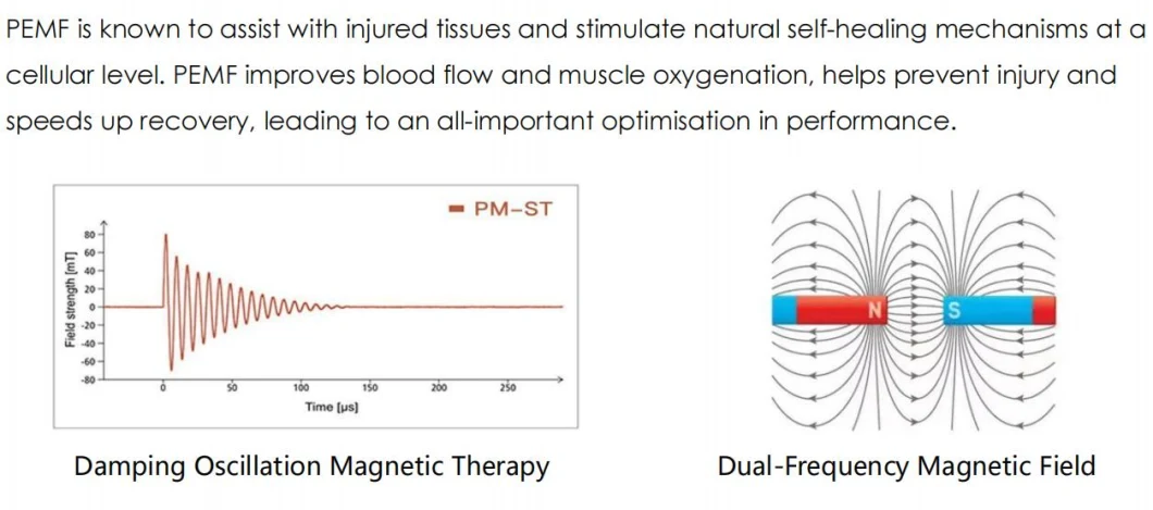 Pemf High Energy Pain Relief Electromagnetic Emtt Physiotherapy Magnetotherapy Magnetic Pemf Magnetic Magneto Therapy Device