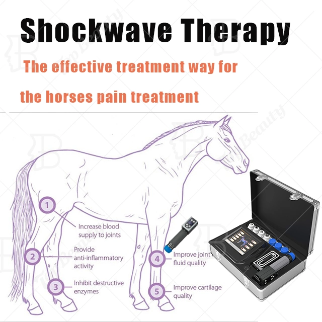 Portable Piezoelectric ED Equine Radial Horse Pain Relief Shockwave Therapy Machine Device