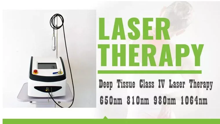 Pain Relief Laser Equipment Physical Therapeutic Chiropractictherapy